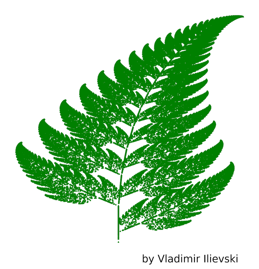 Plot of the Barnsley Fern Fractal