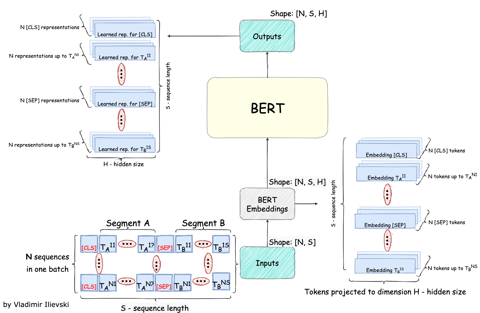 Sketch of the BERT model inputs and outputs